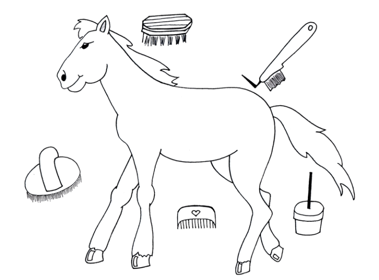 Brosse De Toilettage Pour Cheval Et Poney - Hy - Enfant - Neuve